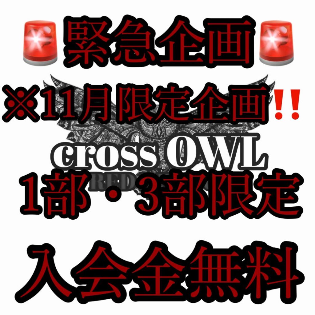 大阪のハプニングバー(ハプバー)CROSS OWL（クロスアウル）のイベントポスター【11月～】